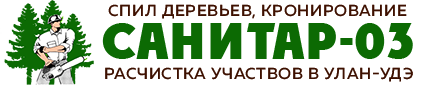 Спил и вырубка деревьев, кронирование деревьев в Улан-Удэ. САНИТАР-03
